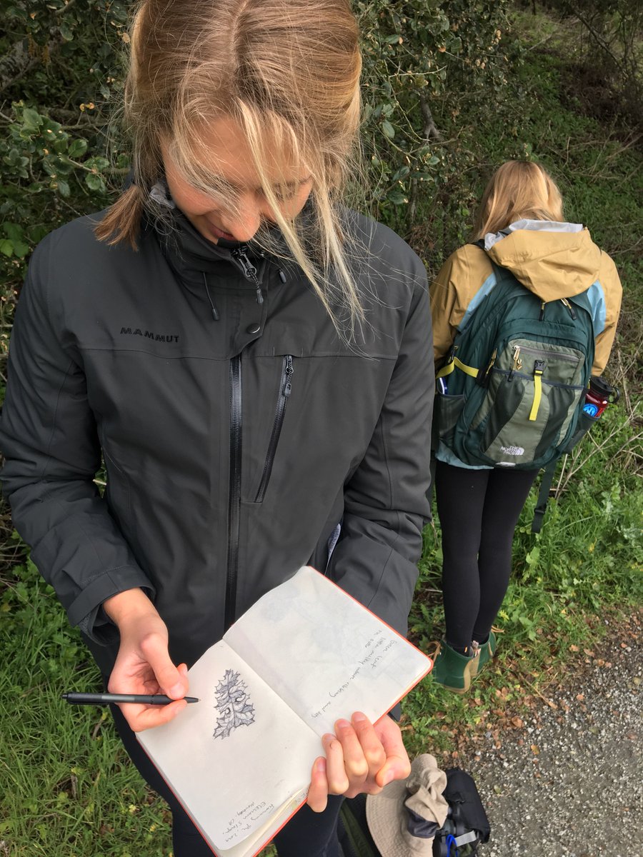 Sneaking a peek at my  #naturalhistory students' field notebooks on our ENVS144 field trip to @elkhornslough Saturday. As usual, @SantaClaraUniv students inspire me!