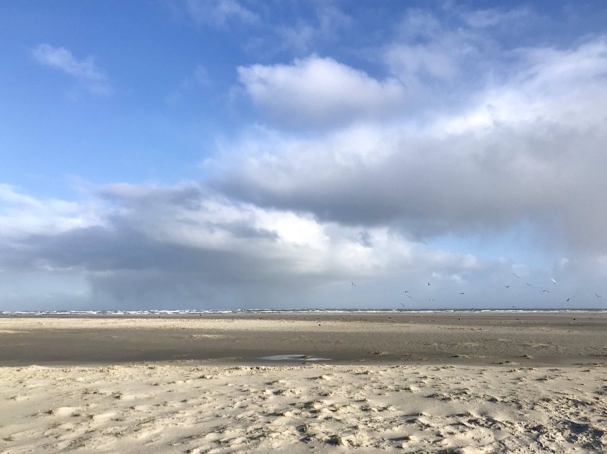 richardtkiewiet's tweet photo. Voor en na de aktie.
Vandaag 2000 kg container afval verwijderd vh strand .
Met dank aan de juttersvereniging, Firma Spoelstra, @AmelandGemeente
en andere vrijwilligers
We zorgen dat het strand ten alle tijden schoon blijft/wordt voor het broed en toeristenseizoen.
@ItFryskeGea https://t.co/QS8W883ZF6