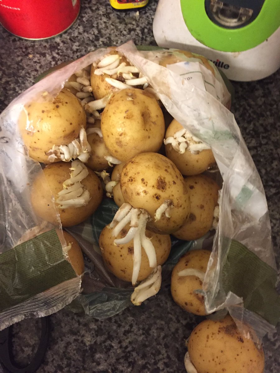 constmonsta's tweet photo. @Tesco I just bought these about an hour ago... what the hell https://t.co/YgdnjmZfQo