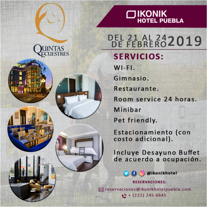 HarasOficial's tweet photo. En Ikonik puedes hospedarte durante la Copa Quintas Ecuestres

Del 21 al 24 de febrero

#Puebla #hospedaje https://t.co/cX9TUtDSWP
