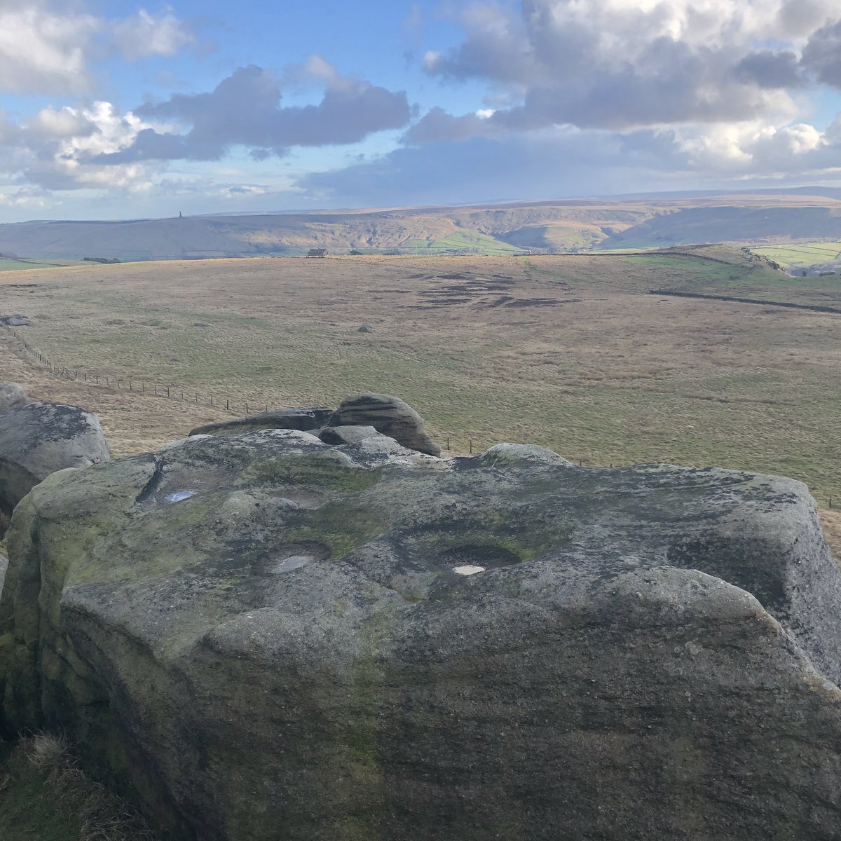 Spaceship Mark tweet media