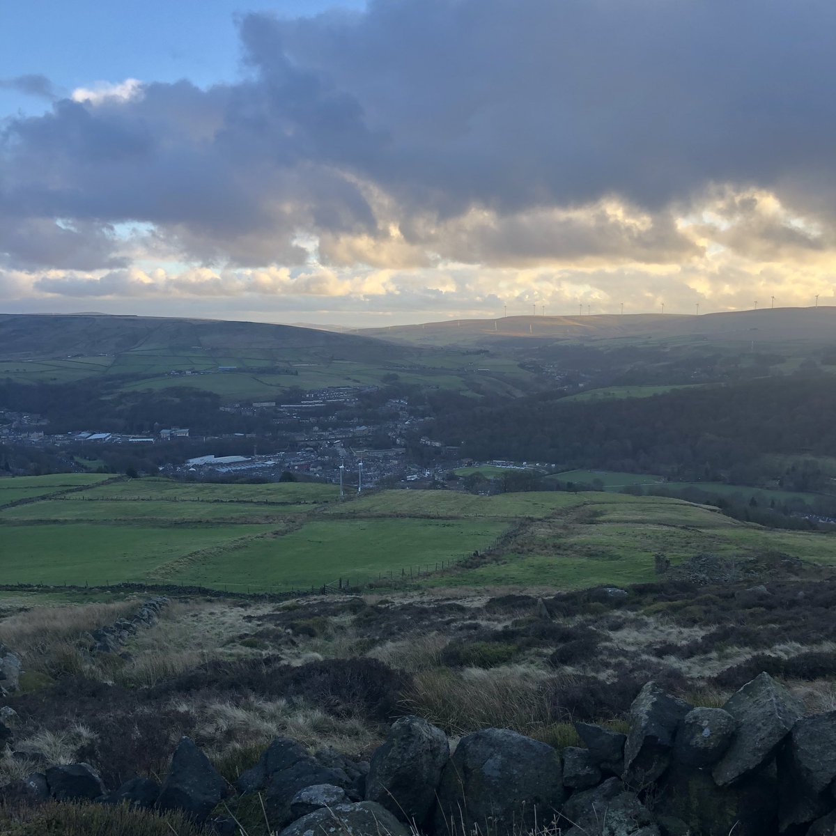 Spaceship Mark tweet media