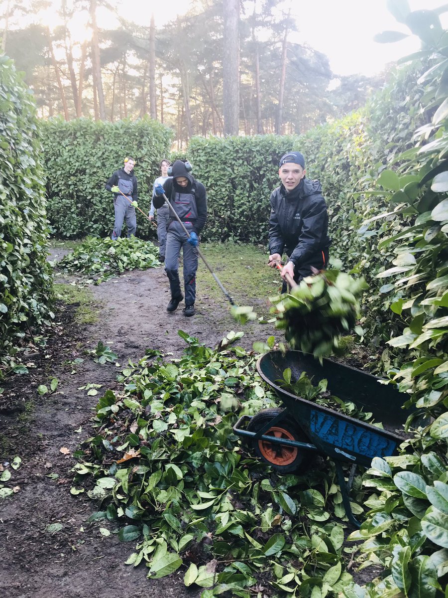 ZilvermeerMol's tweet photo. Welkom aan de leerlingen uit het zesde jaar #tuinbouw van PITO Stabroek. 

Tijdens hun #praktijkweek gaan ze aan de slag op domein Zilvermeer. 
Vandaag kreeg het doolhof alvast een opfrisbeurt! https://t.co/VhYC5NLLqL