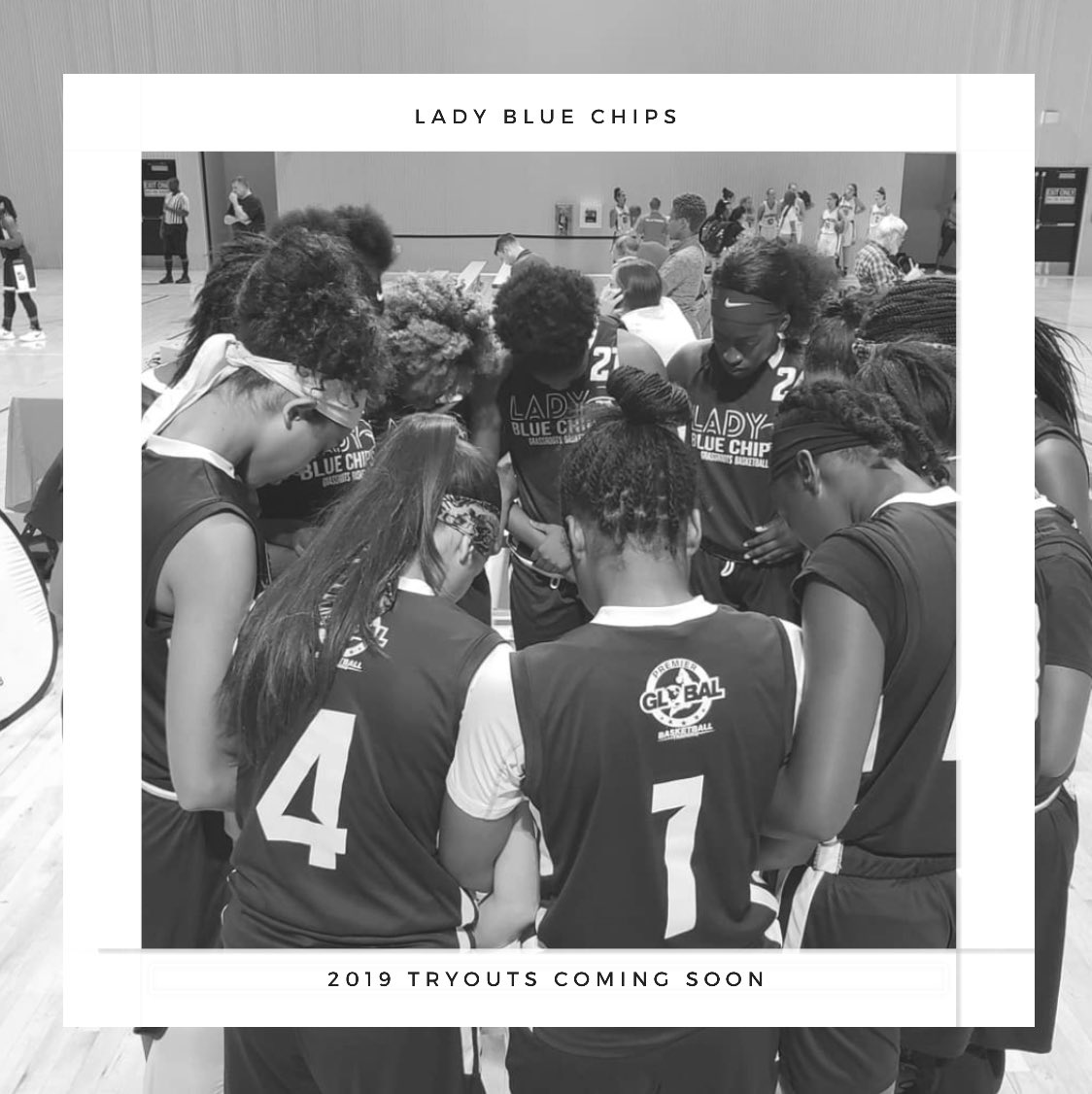 elite8select's tweet photo. 2019 Lady Blue Chips season is going to be like none other. Stay tuned for tryout dates and location. Follow @ladybluechipsbball for updates information coming soon... #exposure #development #ncaaliveevents #browardbluechips #premierglobaltraining #bluechipsfamily https://t.co/l1cAmK6Lwo