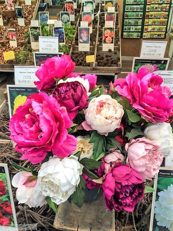 theworldspaces's tweet photo. Discover the root of the matter at the worlds largest floating flower market. #amsterdam #netherlands #holland #worldspaces https://t.co/FnR7i6D93o