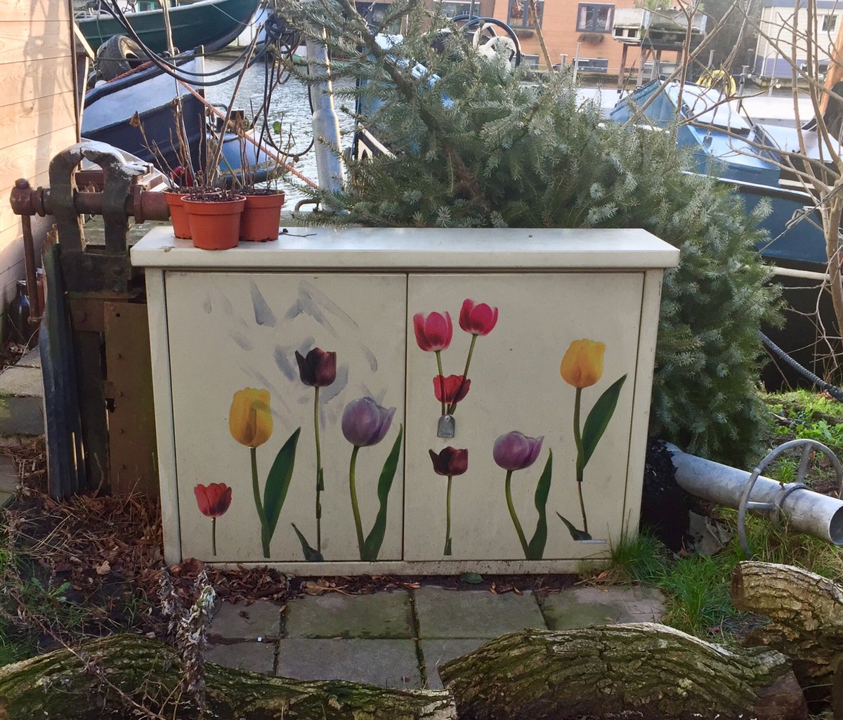 Vrolijk kastje aan de Keulsekade. #lombok #elkedageenwandeling