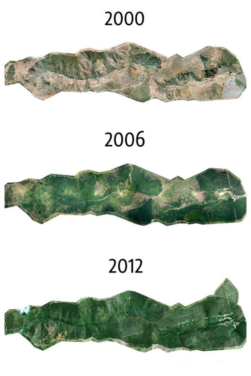 In only 20-years this reforestation project in Brazil planted of over 2.7 million trees on a 1500 acre plot to restore and revive a broken ecosystem. Flora and fauna returned. Great effort. More work like this across the globe please. Source: https://buff.ly/2TGsVK5