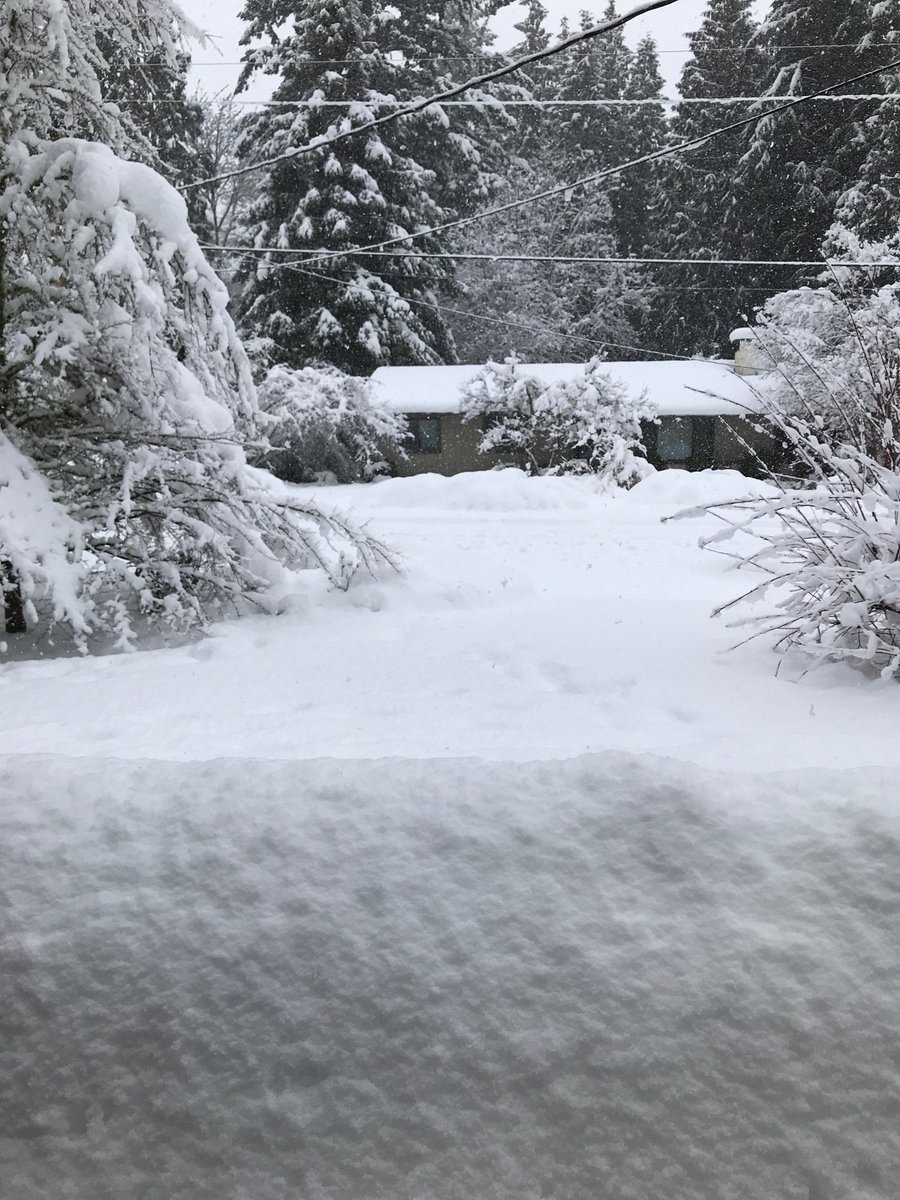 CprattR's tweet photo. Snow has cancelled our Association of WA Action Days.  So lobbying and testifying will have to be done by phone, unless the hearings are also cancelled. https://t.co/IiFMBYyYba