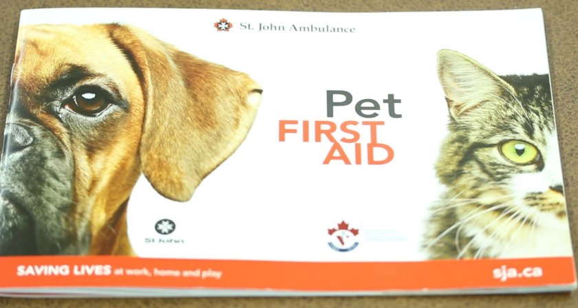 st john pet first aid kit