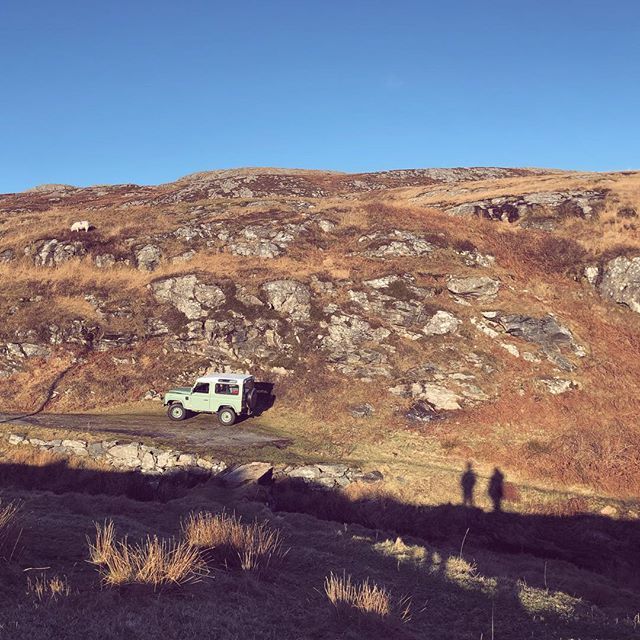 WildUists tweet media