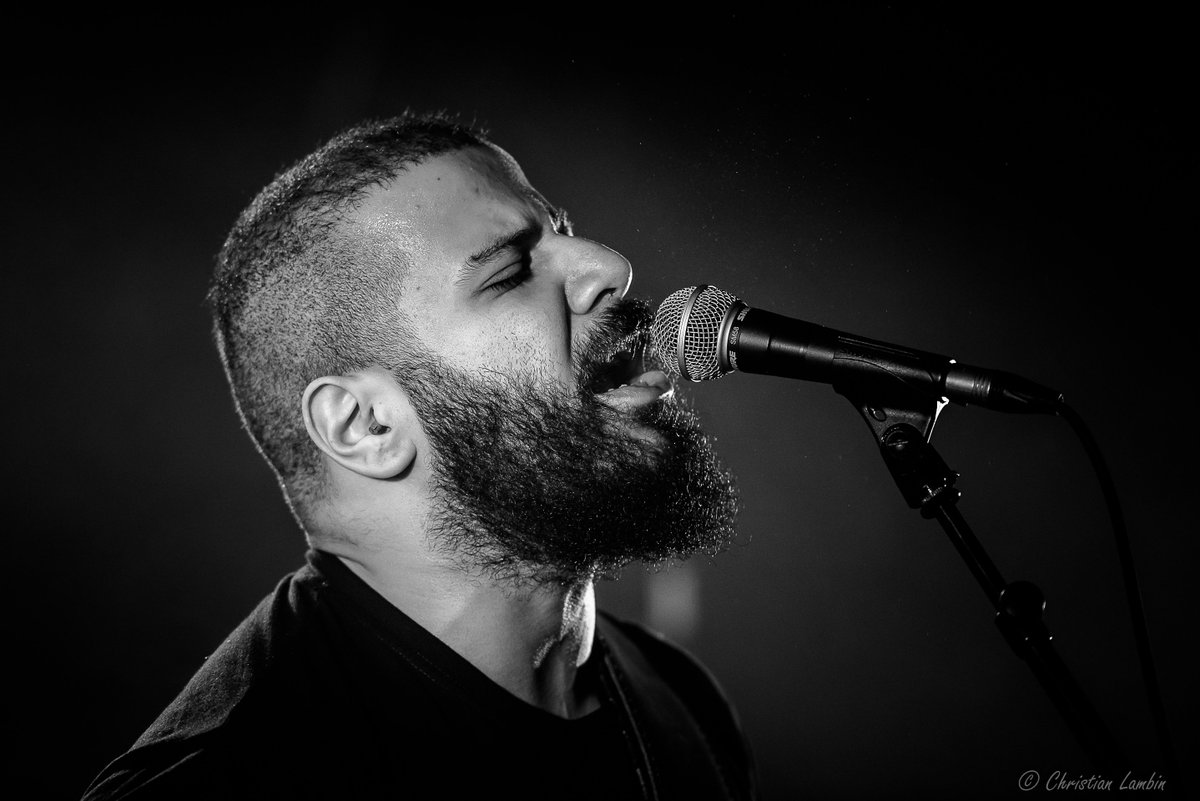 Disco-Nected tweet media