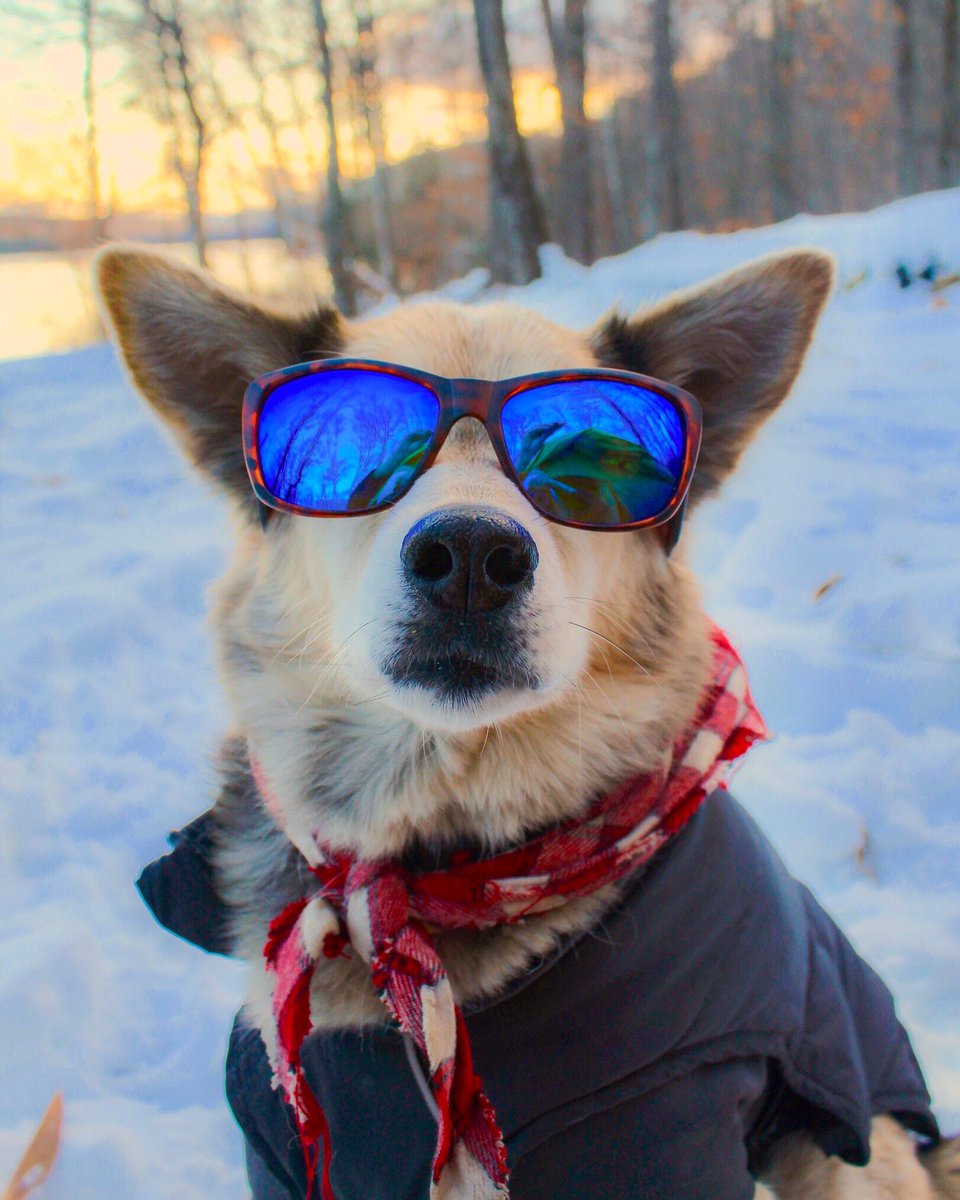 RheosGear's tweet photo. Oh, hello there gorgeous. It's great to see you 📸 by: @ambpitch
.
.
.
.
.
#hikingadventuresforwomen #hikingadventures #hikingadventures2019 #doghikingadventures #hikingforfun #funhiking #myhikingadventures #hikingfever #hikingforlife #hikingforhealth #hikingfam #hikingfun https://t.co/uv1NOHnYWu