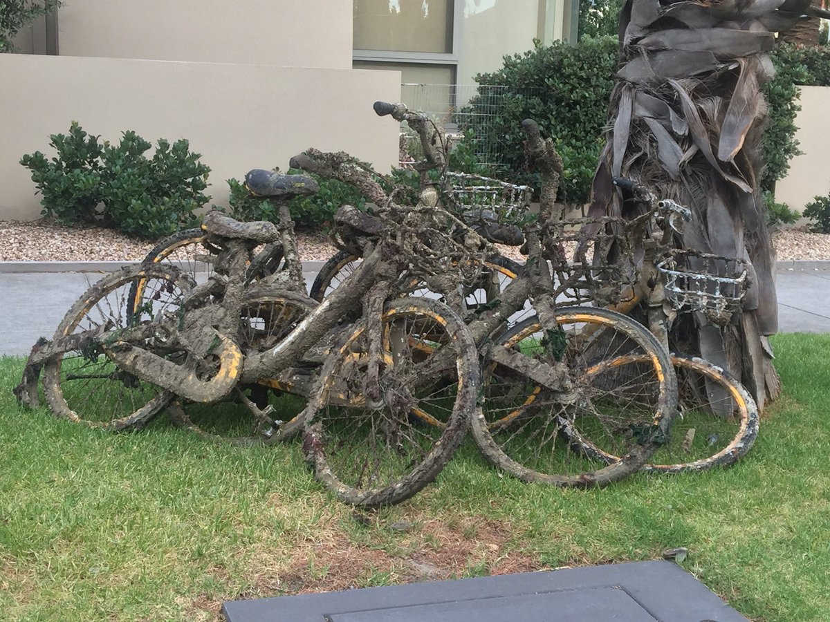 mikeybax's tweet image. oBikes now available in Port Melbourne #NowAvailable