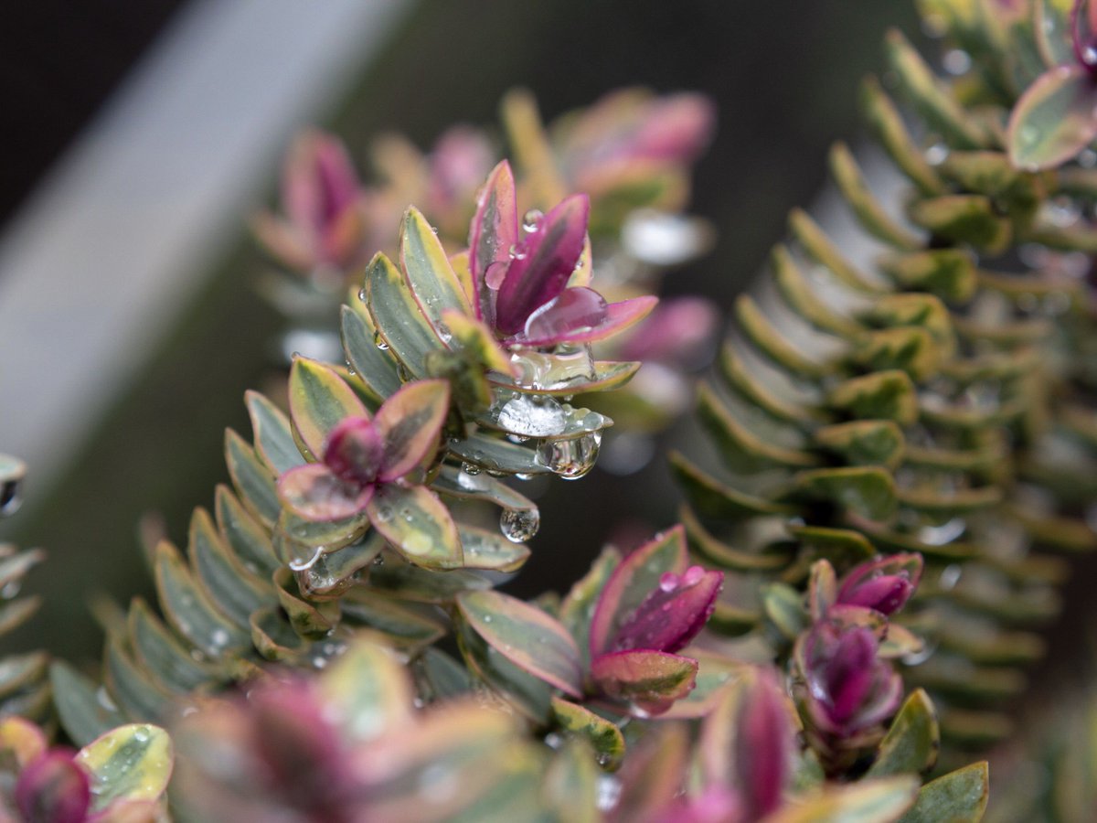 Very wet yesterday morning, but it seems to have brought the sunshine with it!