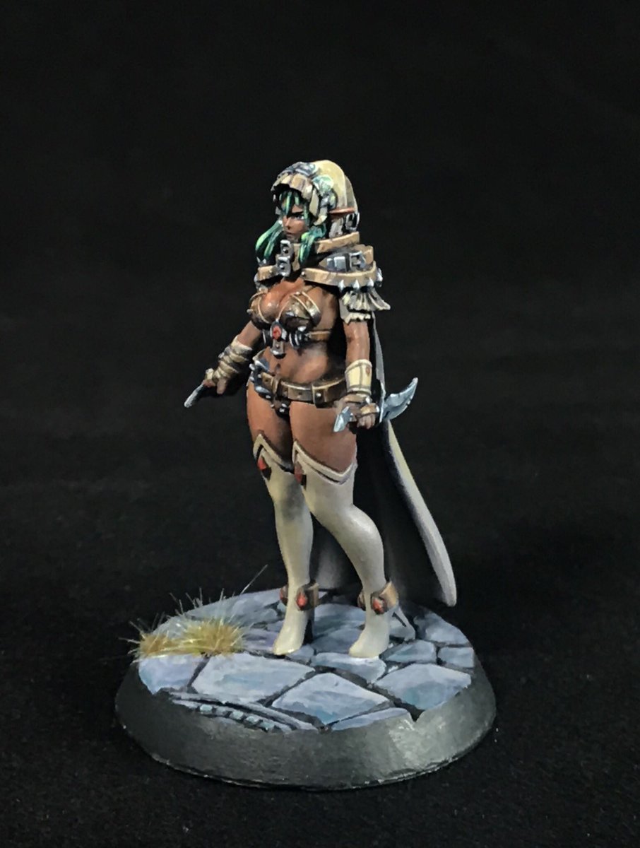 Atolm On Twitter Painted The Dark Elf From Kingdomdeath