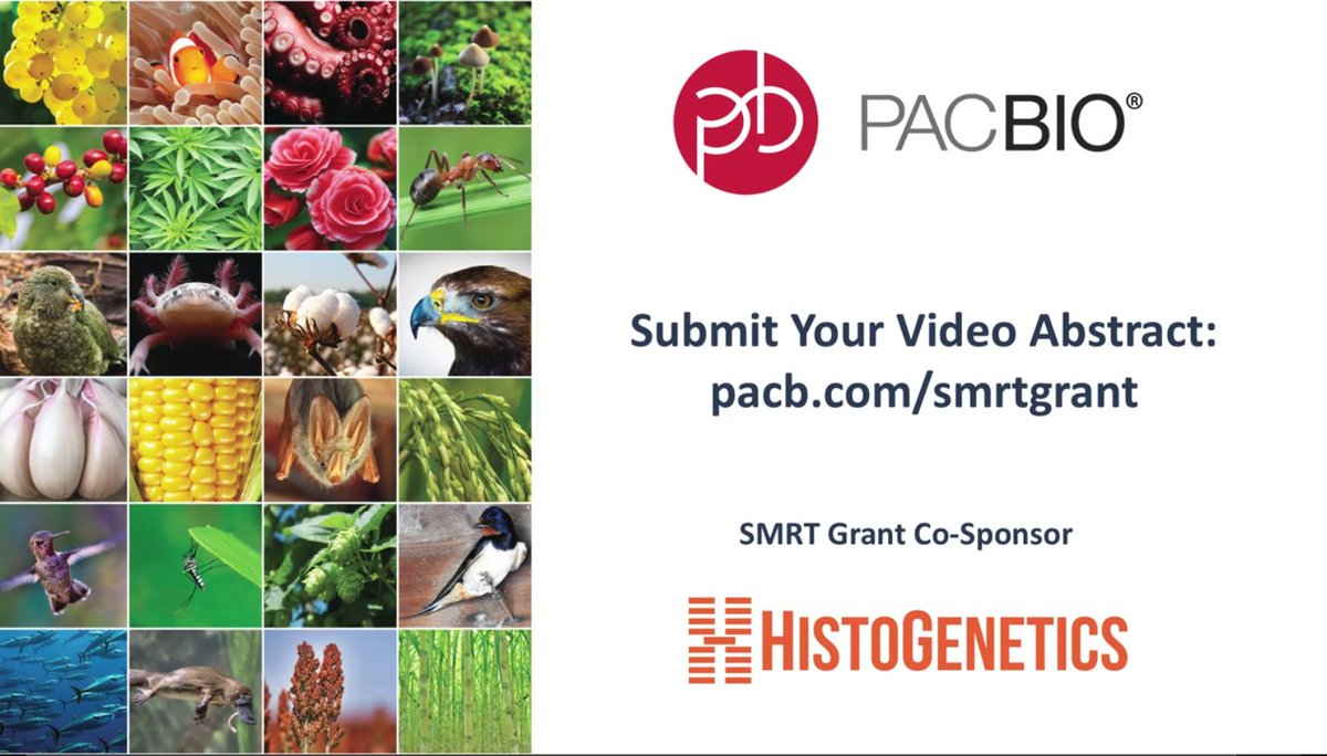 PacBio (@pacbio) on Twitter photo We're halfway through the submission period for the 2019 Plant & Animal SMRT Grant, and we've been wowed by some of your creative video shorts. Keep em coming! You have until Feb. 22 to convince us to give you FREE sequencing, c/o <a href="/histogenetics/">HistoGenetics</a> ow.ly/9IvC50kjrGM We're halfway through the submission period for the 2019 Plant & Animal SMRT Grant, and we've been wowed by some of your creative video shorts. Keep em coming! You have until Feb. 22 to convince us to give you FREE sequencing, c/o <a href="/histogenetics/">HistoGenetics</a> ow.ly/9IvC50kjrGM