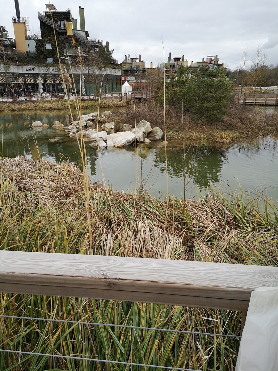 Académie des Passions tweet media