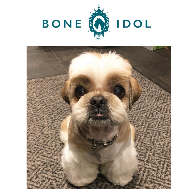 Bone Idol Brighton (@boneidolbtn) on Twitter photo Today is International make a friend day and what better friend than a furry one. Dennis is our fabulous Bone Idol resident doggy, often seen in-store modelling gorgeous knitwear and the latest in grooming trends. He just loves making new friends. Pop in and say hi <a href="/BoneIdolBTN/">Bone Idol Brighton</a> Today is International make a friend day and what better friend than a furry one. Dennis is our fabulous Bone Idol resident doggy, often seen in-store modelling gorgeous knitwear and the latest in grooming trends. He just loves making new friends. Pop in and say hi <a href="/BoneIdolBTN/">Bone Idol Brighton</a>