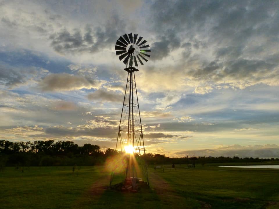 SugarLandtxgov's tweet photo. Valentine’s Day is around the corner and we want to know what it is that you L♥️VE about Sugar Land. Let us know!
•
•
📸 Diane Onak 🥰
#mycity #mycitymonday #SLTX Sugar Land Parks and Recreation https://t.co/ztOWca51Pd