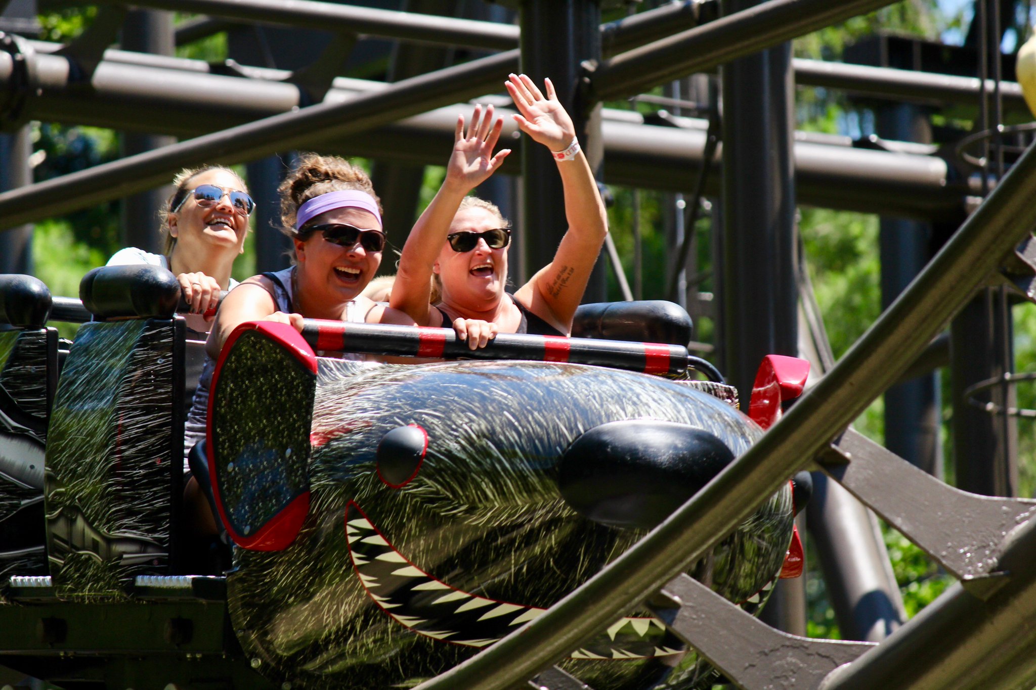 Wild Mouse  Idlewild & SoakZone