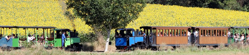 <a href="/SenToulouse/">Senioriales Toulouse Canal Du Midi</a> sortie avec les résidents à la découverte des #jardindesmartels, pour une balade dans un décor magique au #coeur du #departementdutarn #regionoccitanie, pour des souvenirs inoubliables.