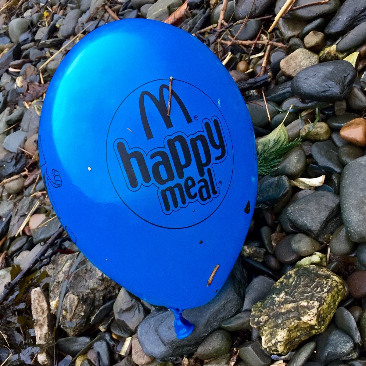 manxnature's tweet photo. Un-happy marine life, environment, planet. #PutItInTheBin #PleasePromoteResponsibly #BalloonsDontGoToHeaven  #ManxPlasticPledge https://t.co/Mzlrti2y4E
