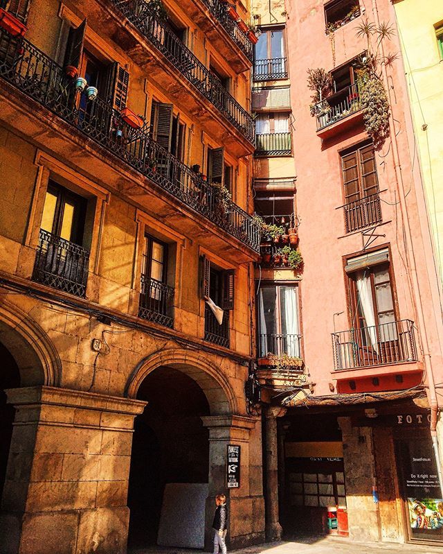comomolabcn's tweet photo. El Born 😍 carrer del Consolat del Mar
..........................
➡️ Síguenos en @comomolabarcelona
👍 Etiqueta tus fotos con #comomolabarcelona
.
Etiqueta a alguien con quien te gustaría visitarlo.
Tag someone you'd love to visit it with
If you like o… https://t.co/tqdMxQ2rfW https://t.co/eeeGuoSMb1