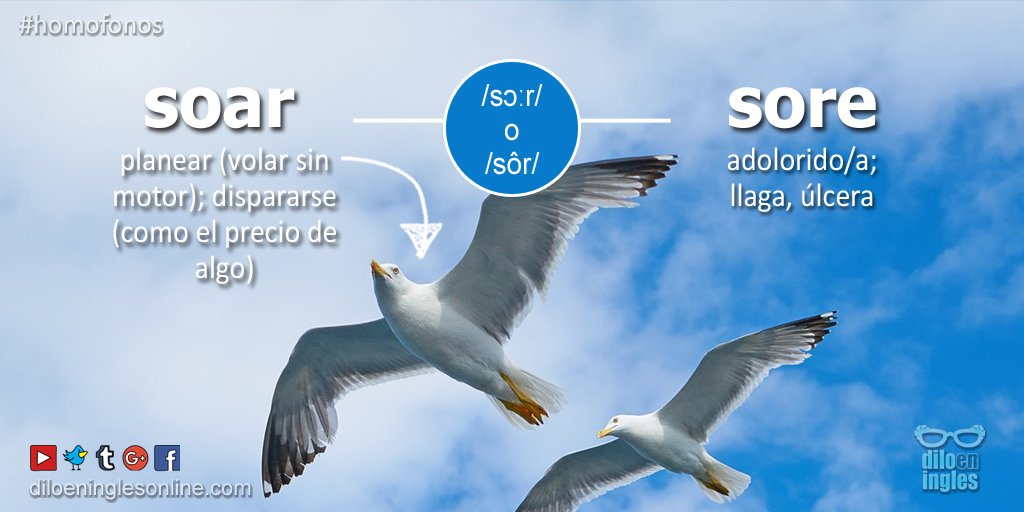 Dilo En Ingles בטוויטר Soar Planear Volar Sin Motor Dispararse Como El Precio De Algo Sore Adolorido A Llaga Ulcera Homofonosdeingles Ingles T Co Hn52nvnwxs