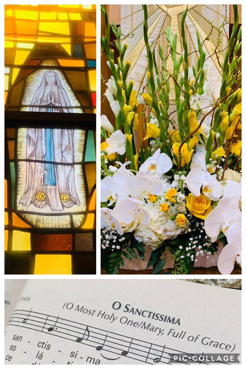 Our Lady of Lourdes tweet media