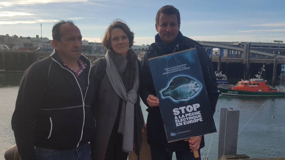 Parlement de Strasbourg 13 fév. Trilogue DECISIF: interdiction totale de la #PecheElectrique pourrait être décidée ! <a href="/yjadot/">Yannick Jadot</a> assurez-vous que le rapporteur fictif du groupe <a href="/GreensEP/">-</a> soutienne interdiction au 31 juillet 2019, seule issue acceptable pour pêcheurs artisans.