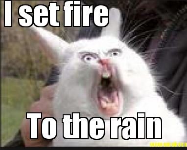 HEAVYBILT's tweet photo. So. Much. Rain. #MemeMonday https://t.co/uNwRUn4Dgs