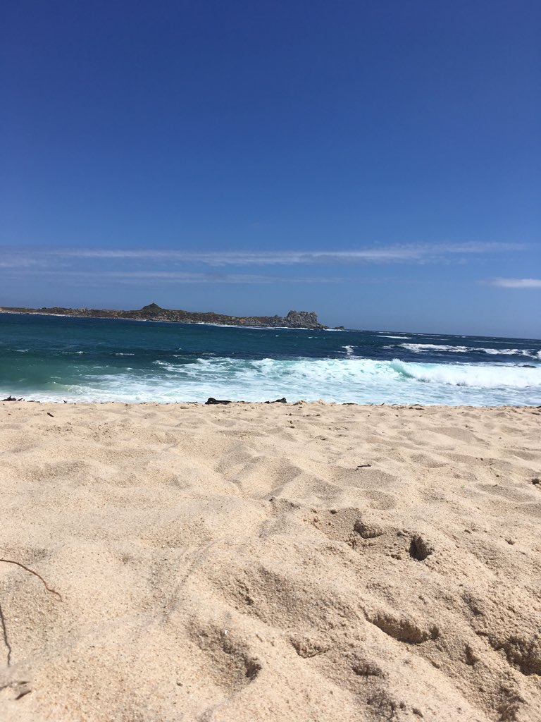 etrodriguezc's tweet photo. Que mejor panorama que estar aquí escuchando #QueMeFalto de mis adoradas @haashoficial 😍😍😍 https://t.co/oURdBgHY8k