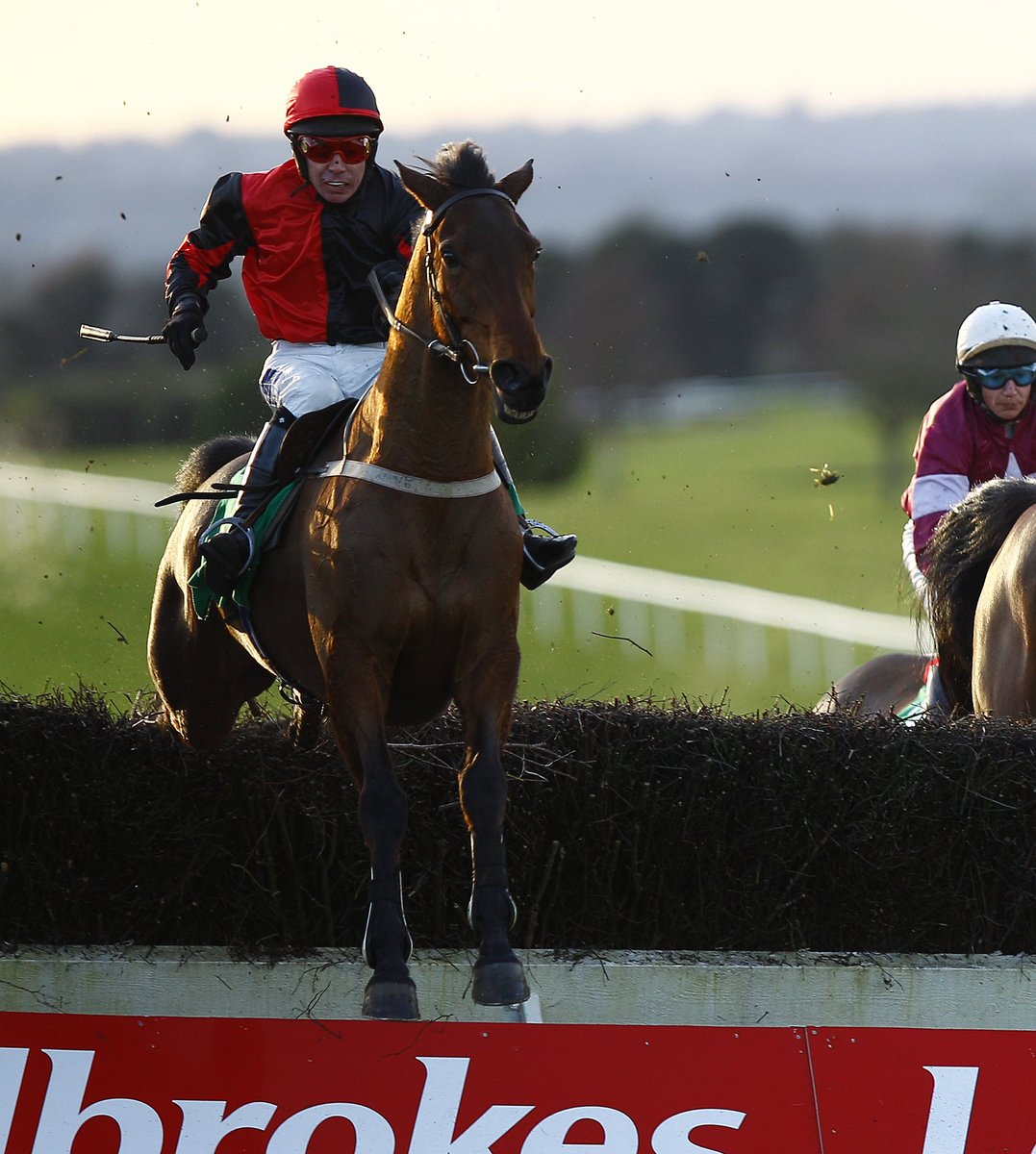 NavanRacecourse's tweet image. 6️⃣ more sleeps until @Ladbrokes Boyne Hurdle Day this Sunday. The @Ladbrokes Gr2 Ten Up Novice Chase is one of the features on the card. Líon Na Bearnaí won the Ten Up in 2012 &amp;amp; then went on to win the Irish Grand National on his next run. #NavanForm #TenUpNoviceChase