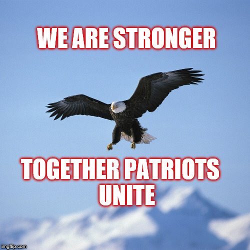 @nancy_hamm1 @American2b @phillyeaglesfa1 @PsychoMetalHed @SealeyGerald @proffitt_judy @heyitsCarolyn @mymynags @RL9631 @EdIsBackKAG2020 @USA4everGirl @bheiss76 @HarleyandGuns Great list of Patriots 👍🏼🇺🇸 Retweeted & Followed.  IFB all #Patriots #MAGA2KAG