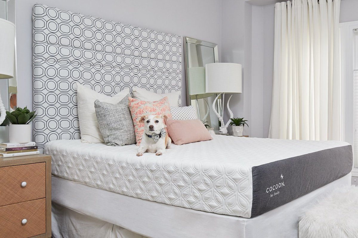 Cocoon By Sealy CDN (CocoonBySealyCA) Twitter