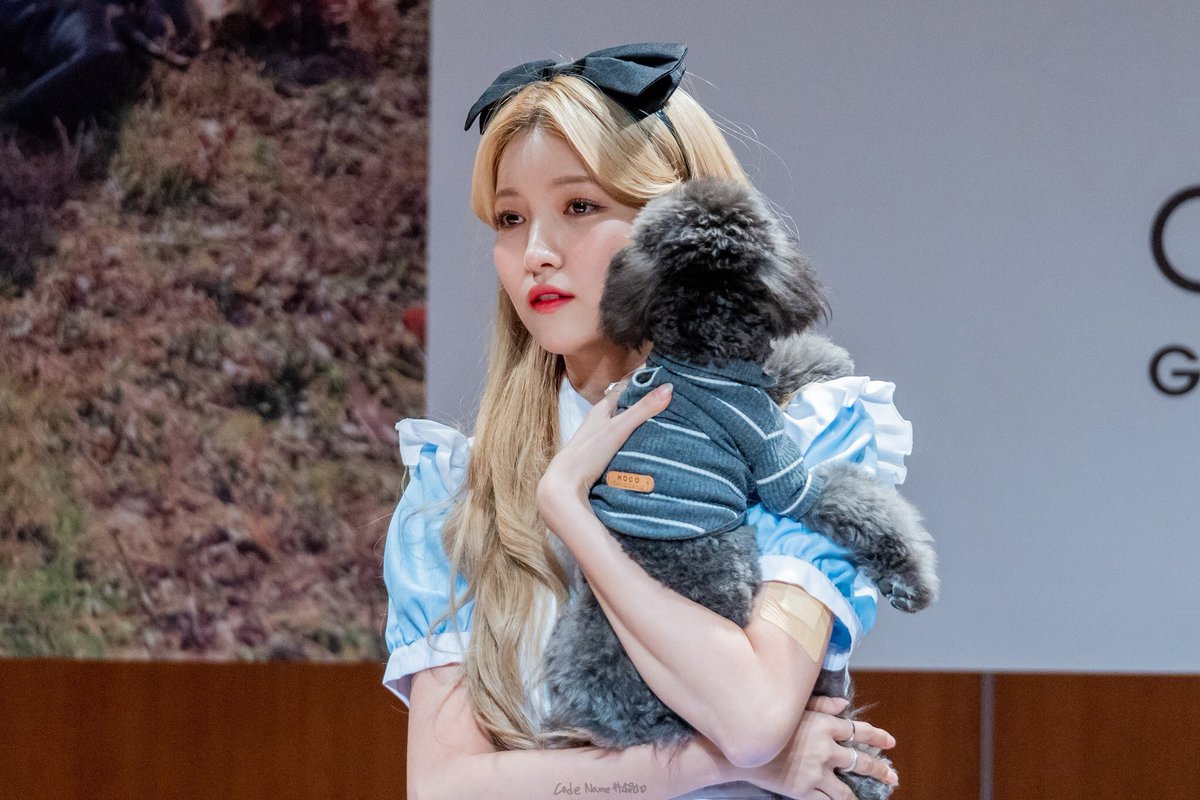 190202
© codename