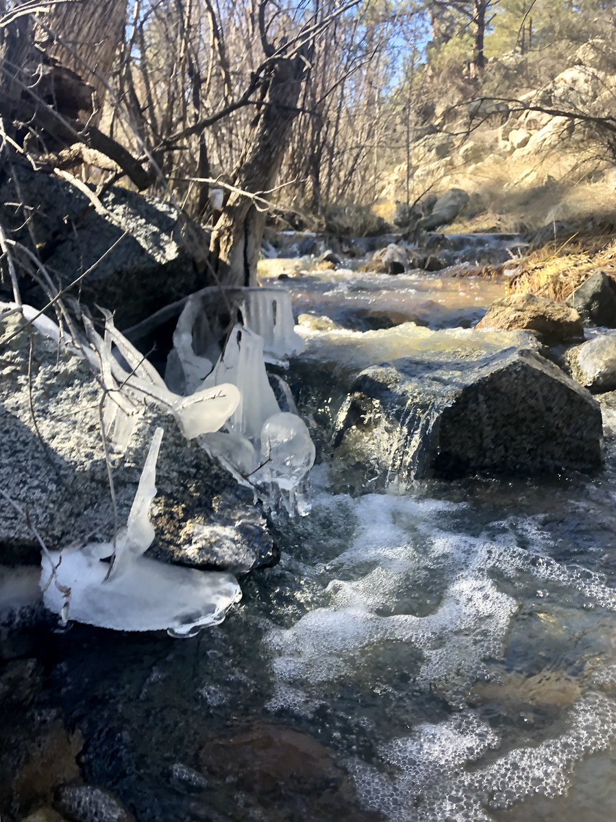 NearAndFarAZ's tweet photo. I love finding a new trail! So many new routes in the #SpenceBasin area in the #PrescottNationalForest. #PrescottAZ #WillyNillyTractor #WillowCreek #LittleItaly #hiking #52hikechallenge2019 #hike6 #AZhiking https://t.co/VwFPDR22o1