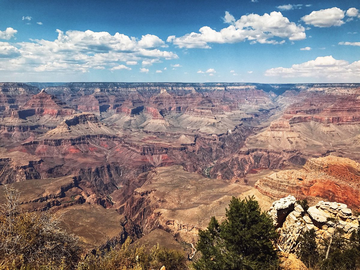 rhituraj bhalerao tweet media