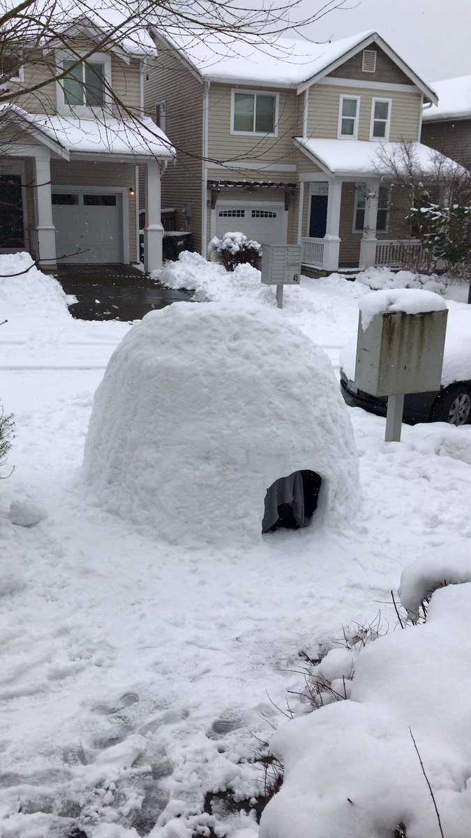 seetee's tweet photo. My girlfriend Sarah is “Working from Igloo” here in West Seattle in the igloo she built! Been in there for almost 2 hours working away! @komonews https://t.co/v6pK0SCdPo