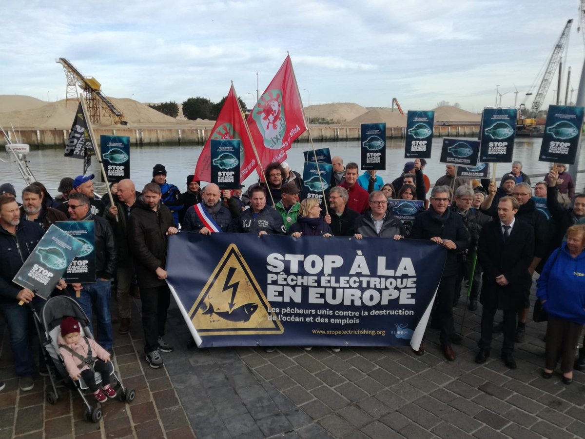 Bloom_FR's tweet photo. Mr. @JunckerEU, Commissioner @KarmenuVella &amp; @EU_MARE are waiting 4 validation from College of Commissioners to start formal infringement procedure against the Netherlands for illegal #ElectricFishing licenses. When will @EU_Commission give an answer? Fraud has gone on too long. https://t.co/atYpPxLGJ0