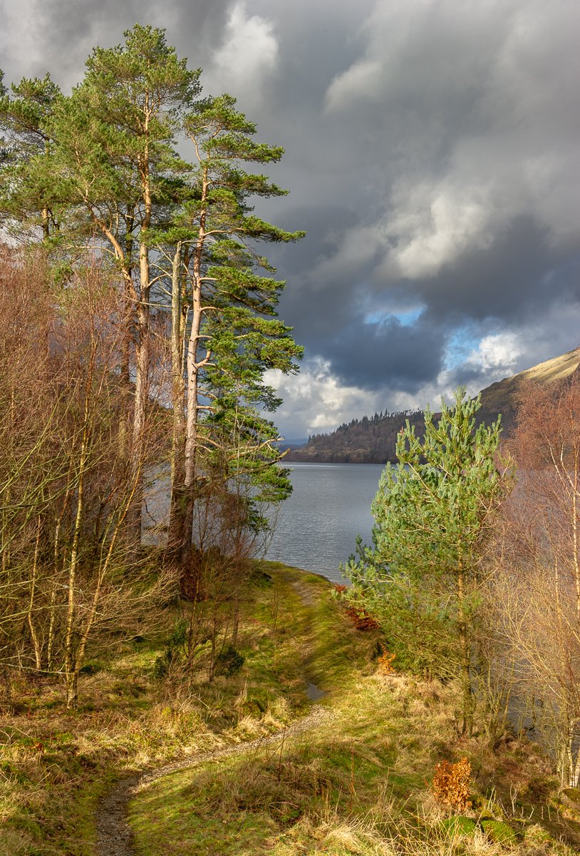 andy__mcr's tweet photo. A glimpse along Thirlmere for #fsprintmonday (portrait, click to see) https://t.co/E5pX85Wu4q
