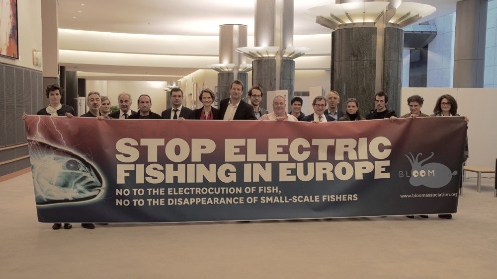 BLOOM Association (@bloom_fr) on Twitter photo Mr. Commissioner <a href="/KarmenuVella/">Karmenu Vella</a>, during Trilogue on 13 Feb. will <a href="/EU_MARE/">EU Maritime & Fish</a> support a total #ElectricFishing ban by 31 July 2019? #ElectricFishing is illegal & destructive. Priorities= #InfringementProcedure vs 🇳🇱, save the ocean& #SmallScale fishers, respect CFP objectives & SDG14. Mr. Commissioner <a href="/KarmenuVella/">Karmenu Vella</a>, during Trilogue on 13 Feb. will <a href="/EU_MARE/">EU Maritime & Fish</a> support a total #ElectricFishing ban by 31 July 2019? #ElectricFishing is illegal & destructive. Priorities= #InfringementProcedure vs 🇳🇱, save the ocean& #SmallScale fishers, respect CFP objectives & SDG14.