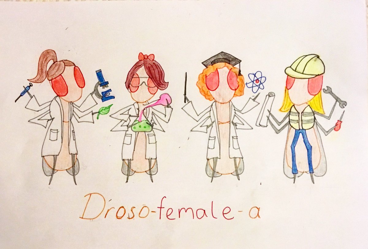 fruit flies like a banana 🍌 (@daniedmundsdani) on Twitter photo Happy international women in science day! #womenInScience #WomenScienceDay #stem #drosophila #drosophilamelanogaster #fruitfly #science #biology #women #drawing #sketch #fly #female <a href="/WomenScienceDay/">Women in Science Day</a> Happy international women in science day! #womenInScience #WomenScienceDay #stem #drosophila #drosophilamelanogaster #fruitfly #science #biology #women #drawing #sketch #fly #female <a href="/WomenScienceDay/">Women in Science Day</a>