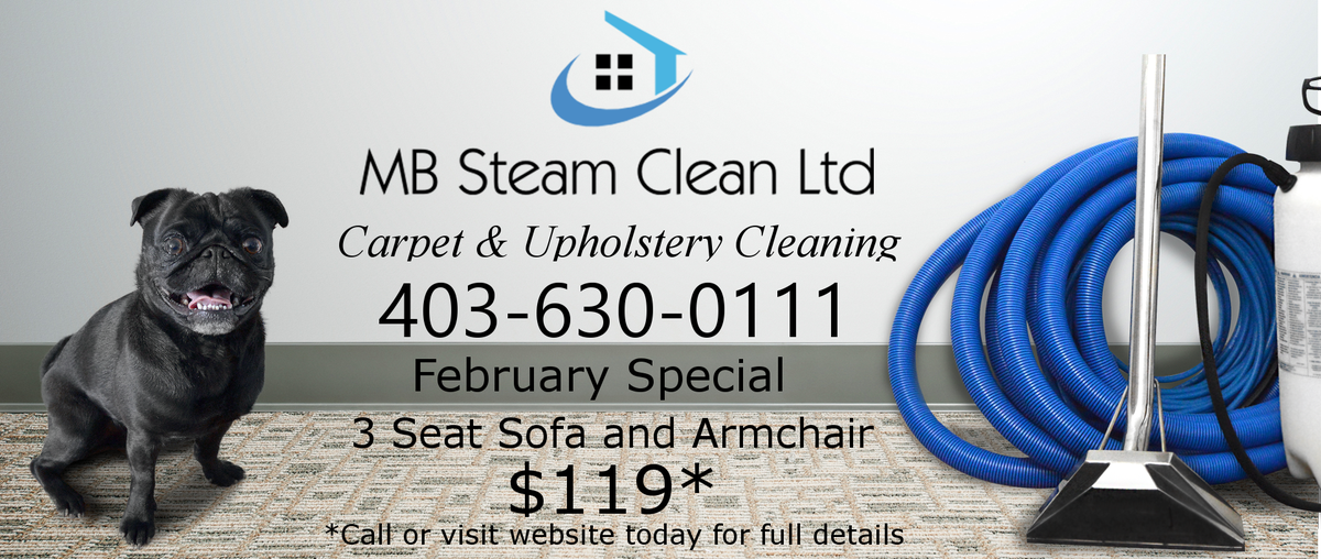 MBSteamClean's tweet photo. We don't just clean #carpets we clean #upholstery too! Call or visit our website for more details #yyc #yyccc #Calgary #carpetcleaning #rent #calgaryrealestate #moveout #movein https://t.co/Kb03Gb1FLo