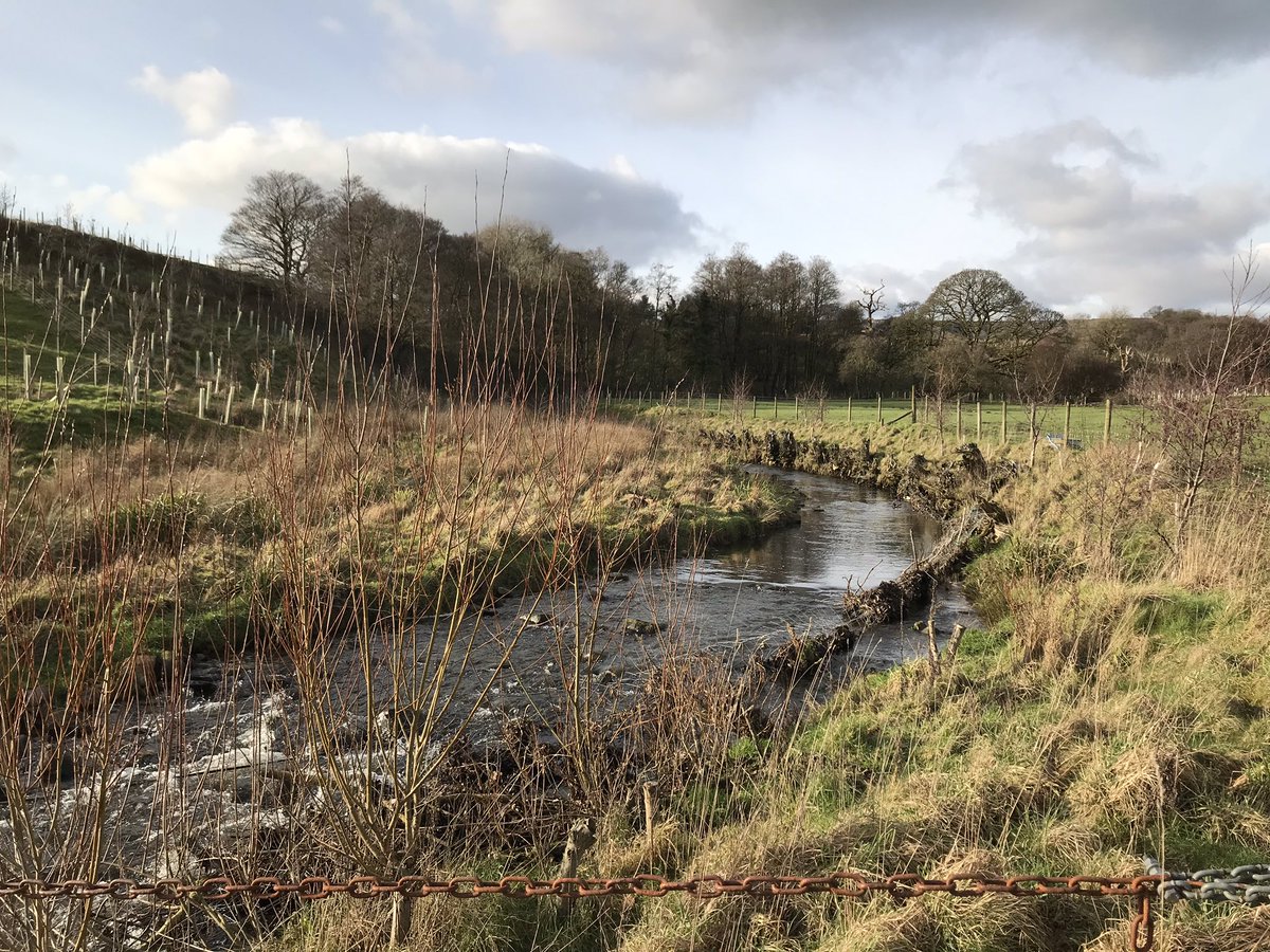 JackSpees's tweet image. Enjoyed a training day with @My_AgriCountry students talking #NFM and #Diffusepollution training pack include @PendleHillLP NFM handbook! @RibbleTrust @RibbleLife @HeritageFundNW