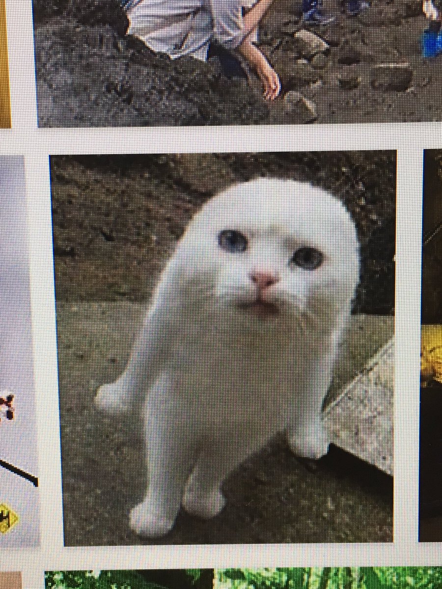 ertghyj899's tweet photo. 久々に再開できた。
なんか全然違う。。。
鼻がむずい。 https://t.co/VeSh4M1g39