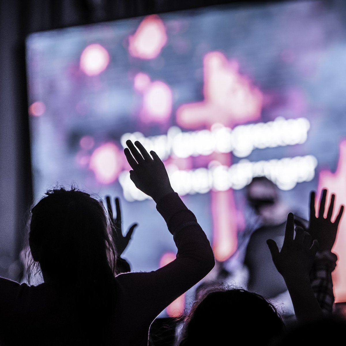 // p r o g r e s s //
March 15th is coming in hot and our team is growing, production settling in, and the night is taking shape. • Mark it down in your google calendar 📆 this is gonna be lit 🔥
➡️ pauseqc.com