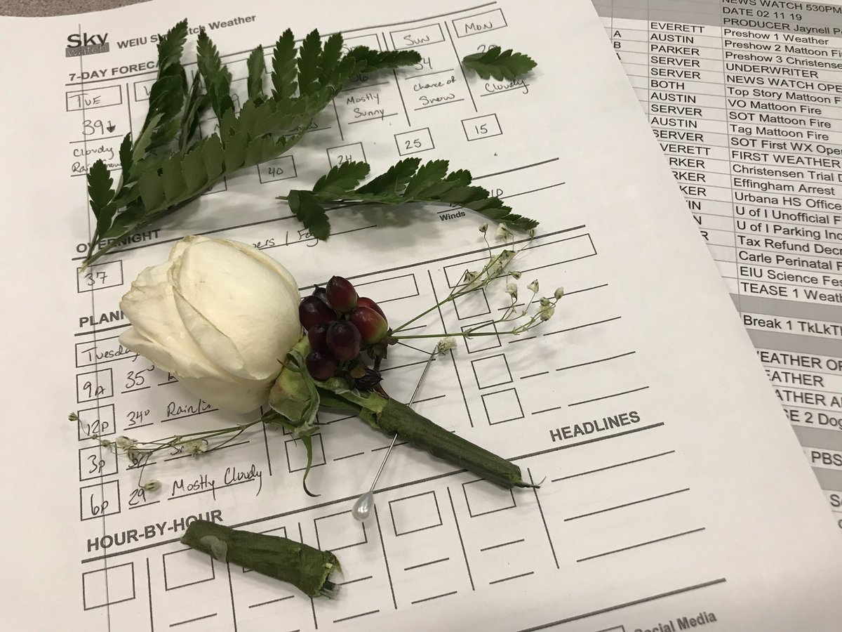 elau_weather's tweet photo. Repping #ChapmanToTheChapel this evening on @WEIUNewsWatch! Parts of the boutonnière from my sister’s wedding survived to make it to air, but we had to chop off all the greenery so I wouldn’t have a hole in my chest at the green wall. 😂 #MetProblems https://t.co/f2MHI2ArNP