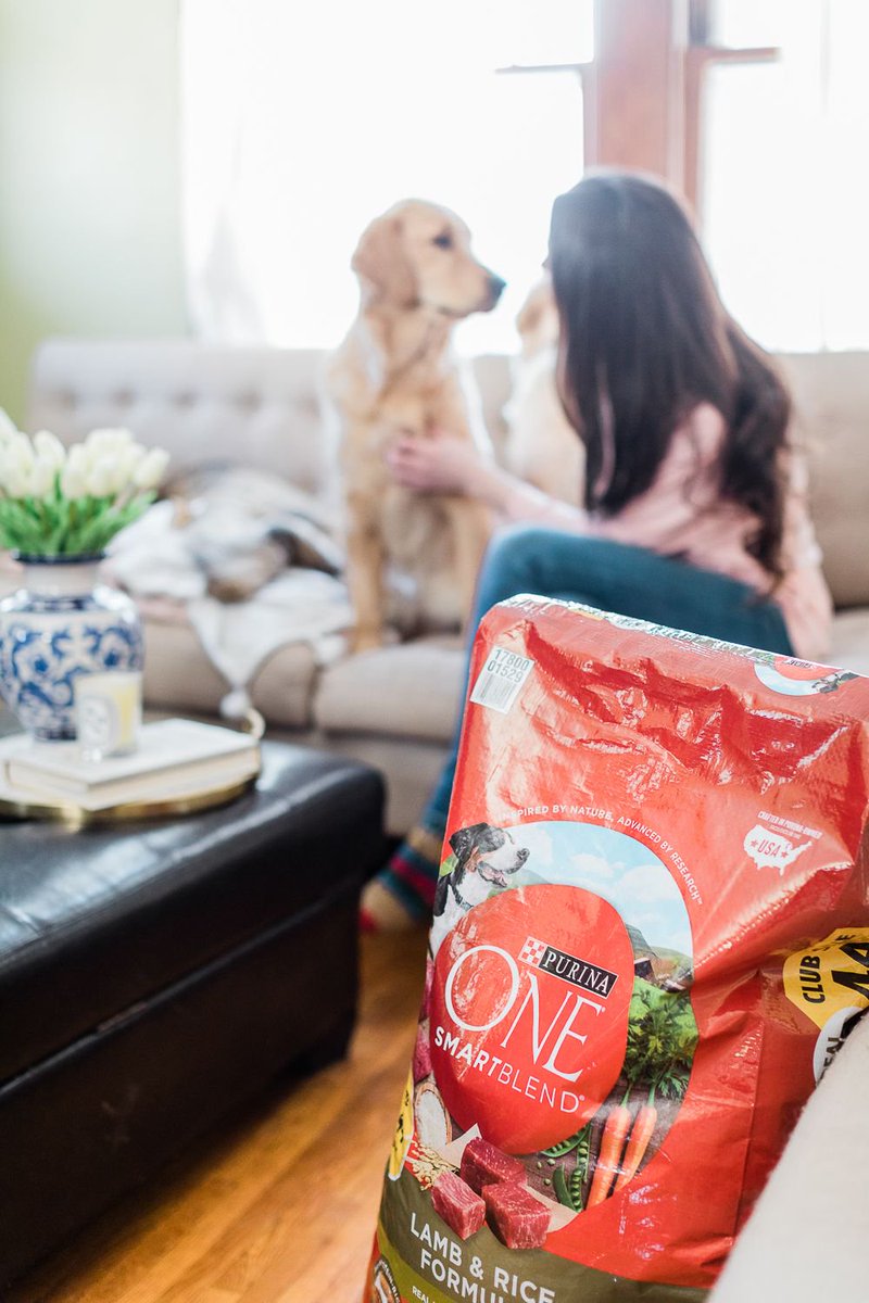 StephanieZiajka's tweet image. Pets are worth every penny, but my gosh, are they expensive. I'm sharing 5 must-know dog mom tips for saving money on pet care and expenses with @purinaONEdog​ on the blog today!

Read the post here --&amp;gt; thediaryofadebutante.com/purina-one-aff… #sponsored #dogmom #ONEdifference