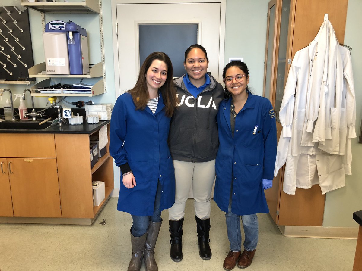 CterminiPhD's tweet image. Women in Science Day is every day in our lab #WiSTEM #URMstem @UCLAstemcell @UCLAJCCC @DamonRunyon